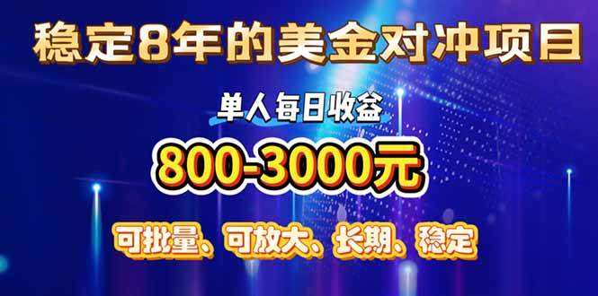 （15782期）稳定8年的美金对冲创业项目，单人每日收益800-3000，小众暴力项目-娃菜资源网