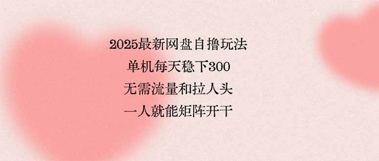 （15831期）2025最新网盘自撸玩法，单机每天稳下3张，无需流量和拉人头，一个人就…-娃菜资源网