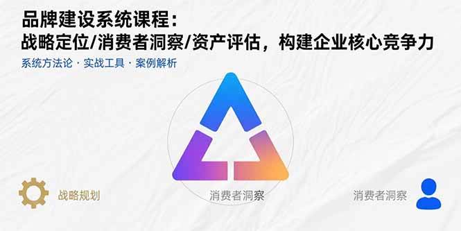 （15772期）品牌建设系统课程：战略定位/消费者洞察/资产评估，构建企业核心竞争力-娃菜资源网