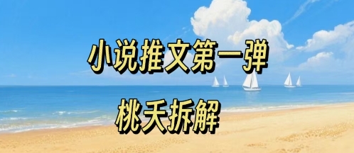 小说推文项目操作全流程第一弹，0粉就能做，门槛低非常适合新手-娃菜资源网
