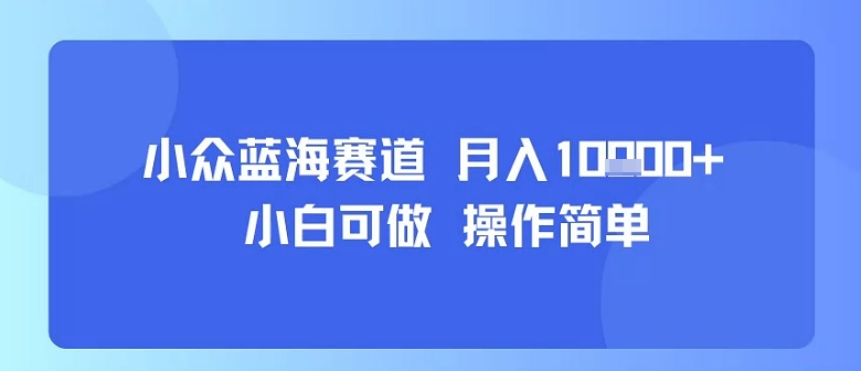 小众蓝海赛道，小白可做，操作简单，每天30分钟，月入1W+-娃菜资源网