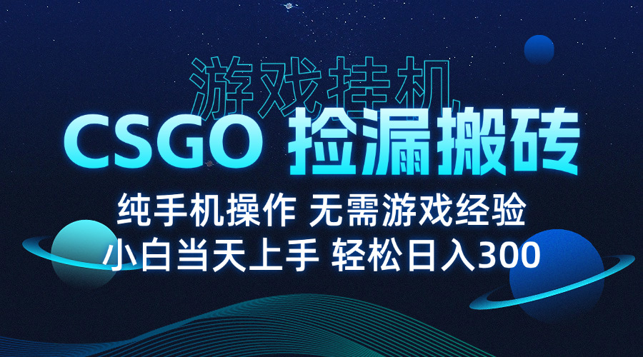 8月最新游戏搬砖，CSGO纯挂机，不需要玩游戏，实现真挂机，月入1W+-娃菜资源网