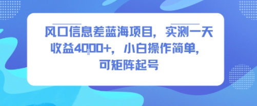 风口信息差蓝海项目，实测一天收益4k+，小白操作简单，可矩阵起号-娃菜资源网