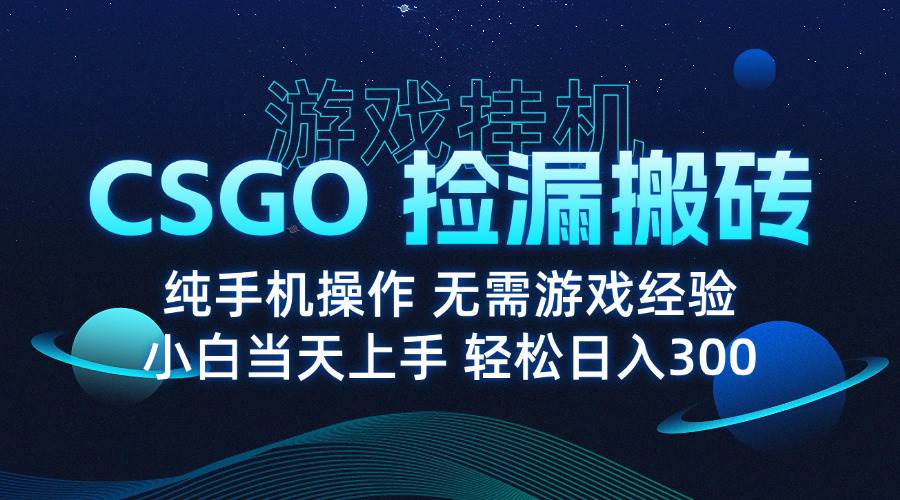 （15820期）8月最新游戏搬砖，CSGO纯挂机，不需要玩游戏，实现真挂机，月入1W+-娃菜资源网