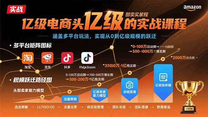 （15803期）亿级电商头部卖家的实战课程：涵盖多平台玩法，实现从0到亿级规模的跃迁-娃菜资源网