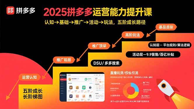 （15826期）2025拼多多运营能力提升课：认知→基础→推广→活动→玩法，五阶成长路径-娃菜资源网