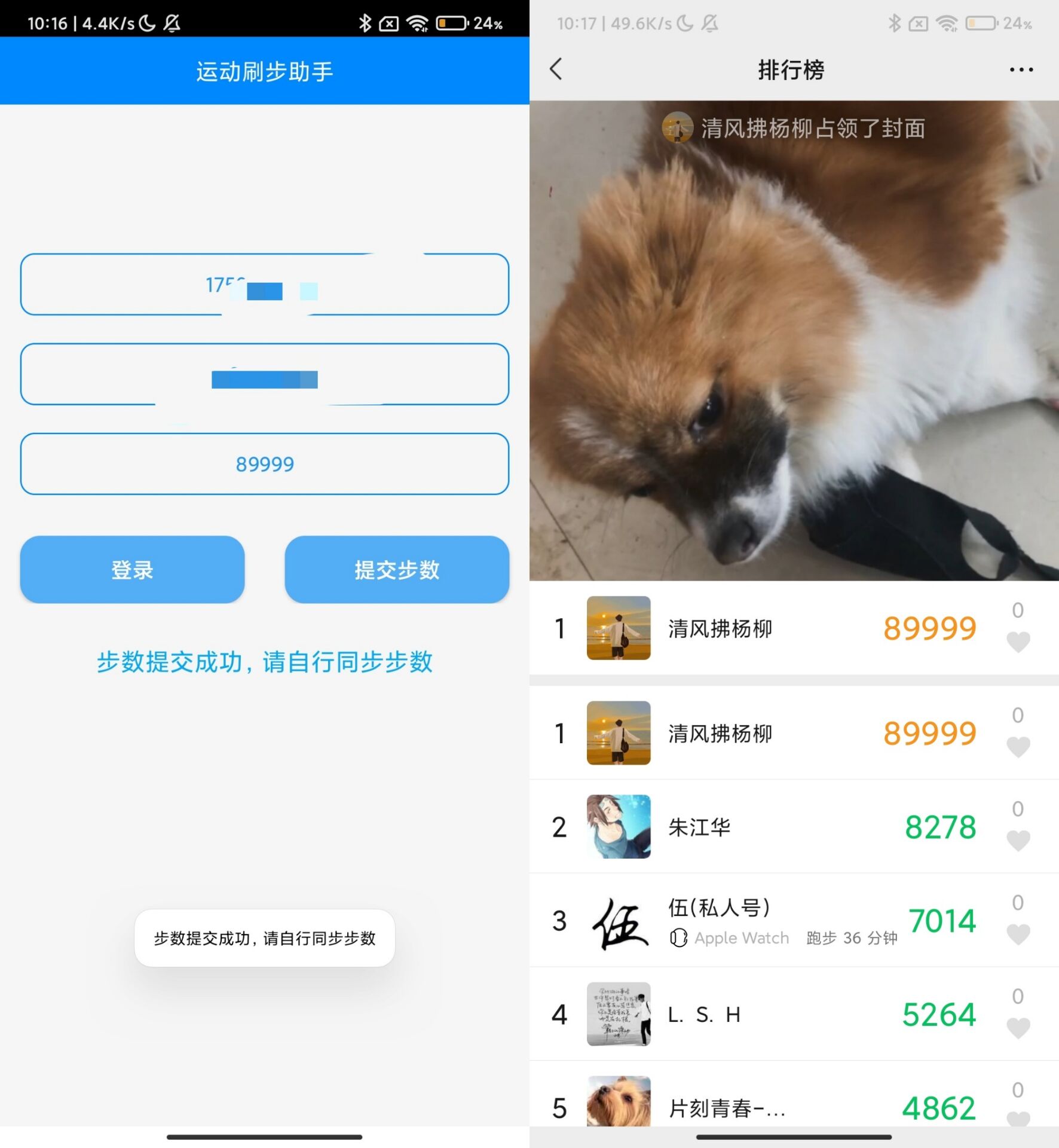 布偶步数助手 支持QQ微信支付宝-娃菜资源网