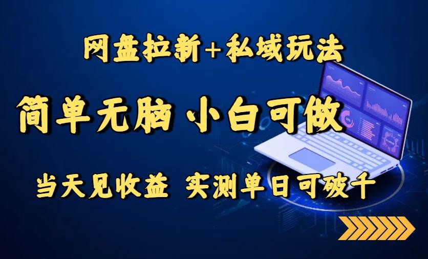 （15744期）网盘拉新+私域玩法，简单无脑，小白可做，当天见收益，实测单日可破千-娃菜资源网