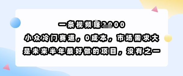 一条视频挣1k，小众冷门赛道，0成本，市场需求大，是未来半年最好做的项目，没有之一-娃菜资源网