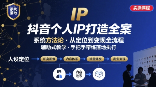 抖音个人IP系统落地实操大课，实操课程，辅助落地-娃菜资源网